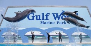 Gulf World Dolphons
