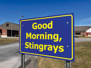 Stingrays 1 Img 3193
